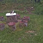 Uslugi Turystyczne Ekotur - Kraniec Swiata * Golubie