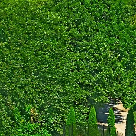 Apartment Uslugi Turystyczne Ekotur - Kraniec Swiata