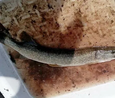 Apartamento Uslugi Turystyczne Ekotur - Kraniec Swiata *