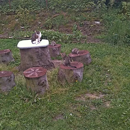 Uslugi Turystyczne Ekotur - Kraniec Swiata * Golubie