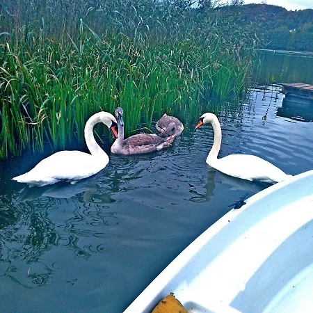 Uslugi Turystyczne Ekotur - Kraniec Swiata Apartment *