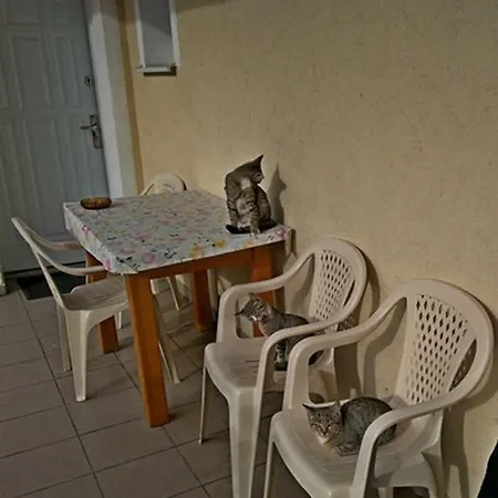 Uslugi Turystyczne Ekotur - Kraniec Swiata * Golubie