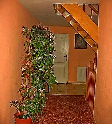 Uslugi Turystyczne Ekotur - Kraniec Swiata Apartment *