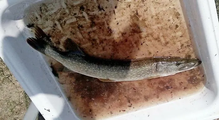 Apartment Uslugi Turystyczne Ekotur - Kraniec Swiata *