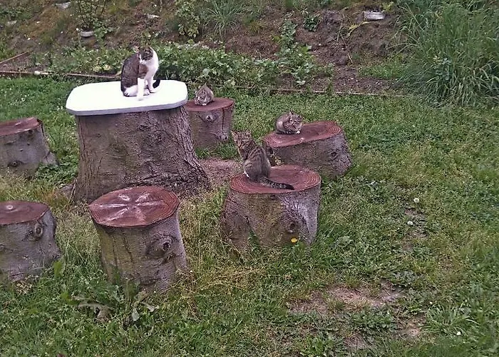 Uslugi Turystyczne Ekotur - Kraniec Swiata * Golubie