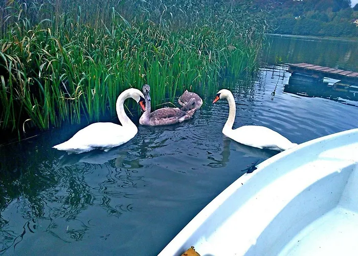 Uslugi Turystyczne Ekotur - Kraniec Swiata Apartament *