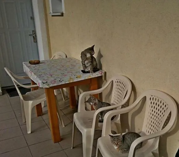 Uslugi Turystyczne Ekotur - Kraniec Swiata * Golubie